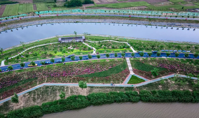图为邯郸市丛台区建设的滏阳河生态绿廊百亩花海。
