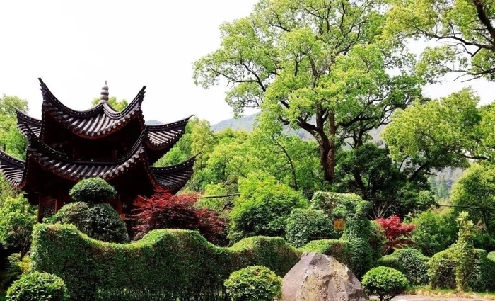 奉化有个古村不仅有网红民宿，还有奇石和美丽的传说，你来过吗？|鸣雁村|宁波市|浙江省|磨石|鸣雁_新浪新闻