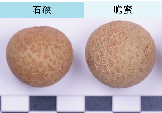 “脆蜜”龟裂纹更明显