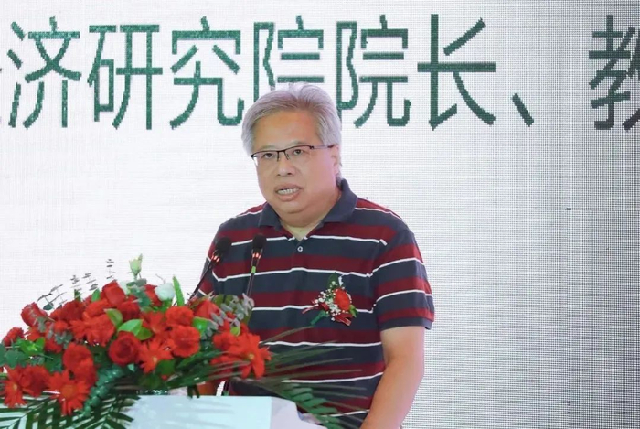 ▲中国艺术经济研究院院长、教授、博士生导师西沐