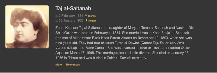 哈佛大学“卡扎尔伊朗时期的女性世界”对萨尔塔纳公主的介绍。