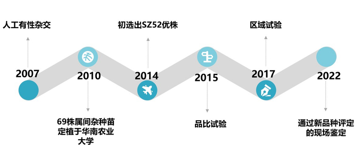 “脆蜜”育种历程