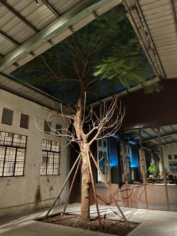 △ 留给绿植的空间  图源：马妮/摄