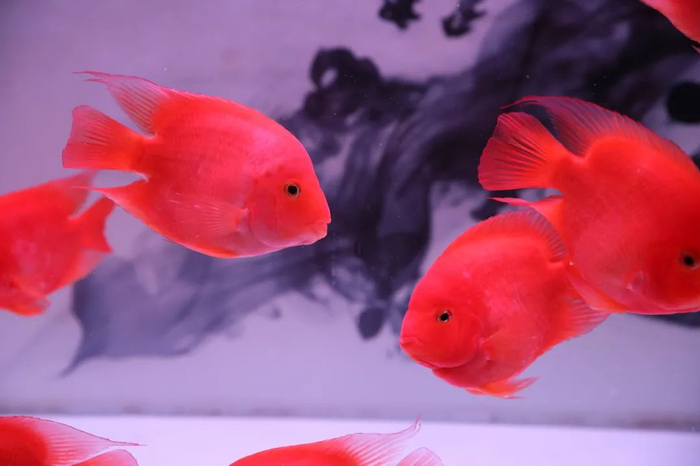 图库版权图片，不授权转载