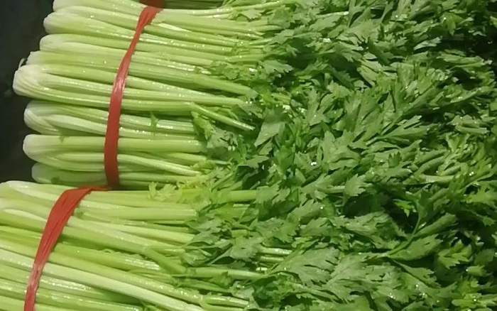 ▲新鲜的芹菜。新京报记者 景啸尘 摄