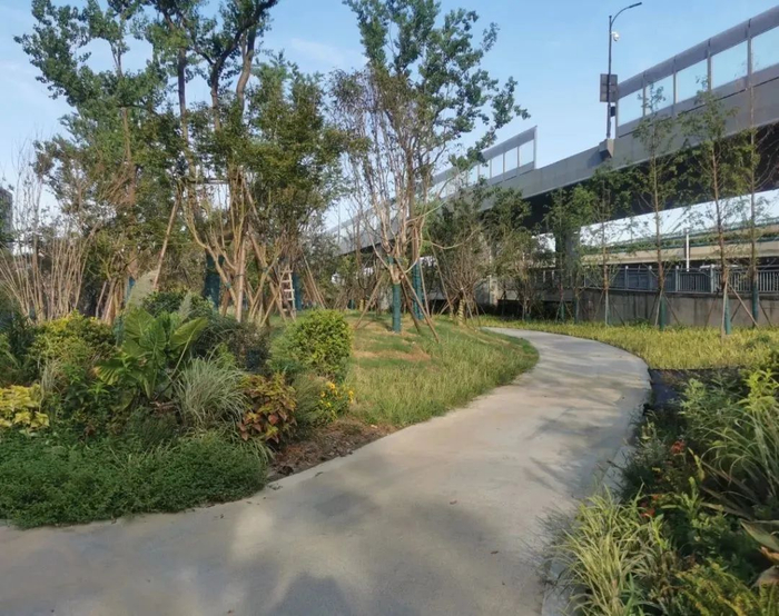 大运河滨水公共空间迎来新进展!大城北一批景观带项目已完工!__财经头条__新浪财经