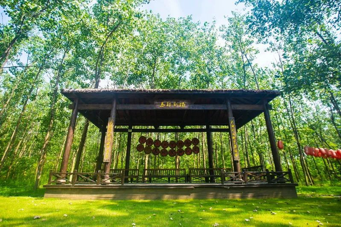 长丰县马郢剧场。 