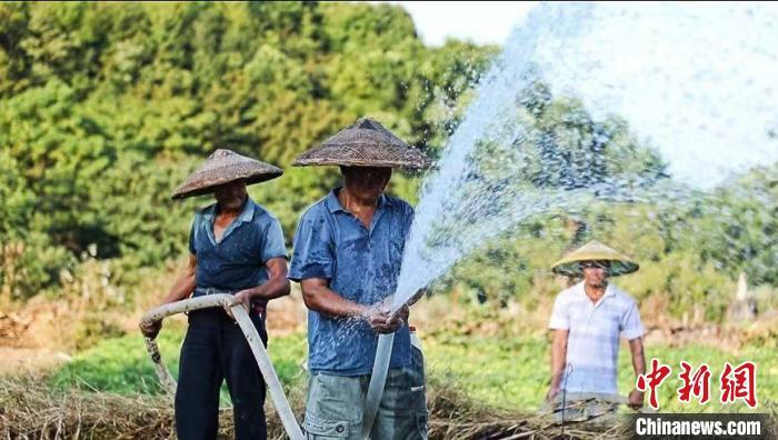 “产粮大县”湖南东安做好“水文章” 全力抗旱保民生 付勇 摄