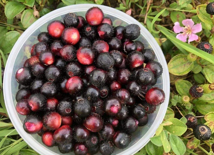 白白和白白的区别 天津话白白是什么意思