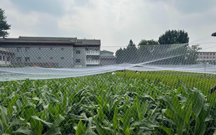 先农坛的“一亩三分地”。新京报记者 展圣洁 摄