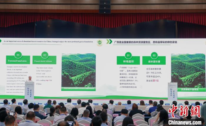 图为大会现场。　广西林业局供图