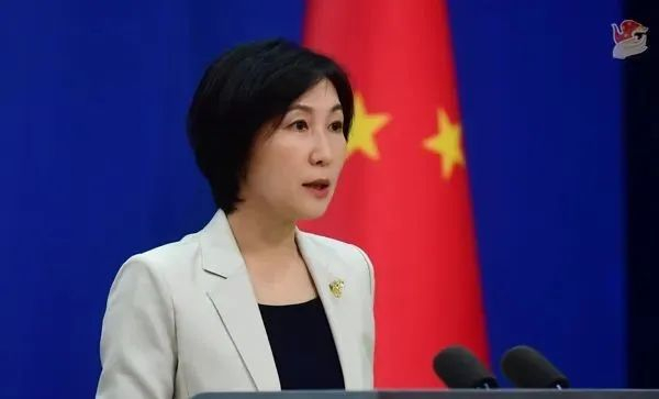 外交部发言人毛宁 图源：外交部网站