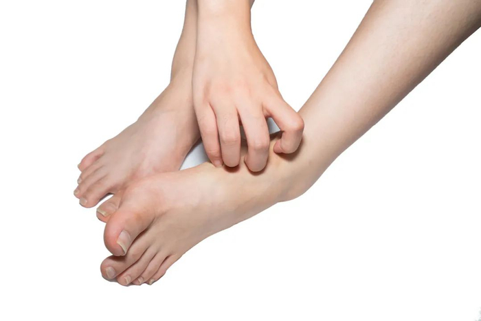 图库版权图片，不授权转载