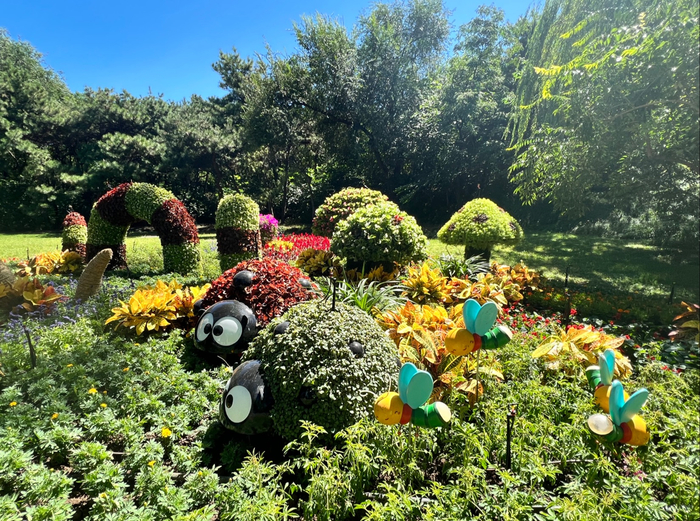 玉渊潭公园中秋环境小品。北京市公园管理中心供图