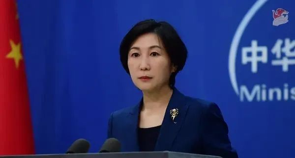 外交部发言人毛宁 图源：外交部网站