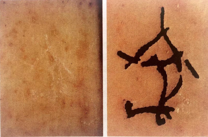 图15 襄汾陶寺遗址Ⅱ区M26出土的刻文骨耜