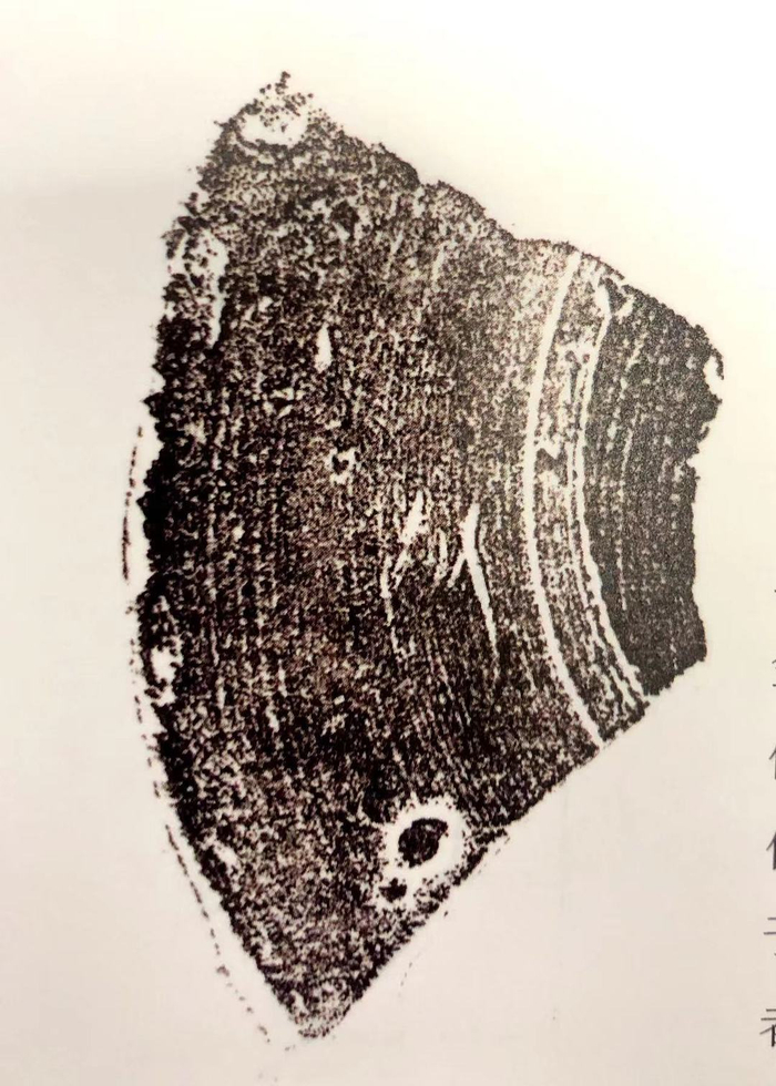 图16登封王城岗遗址出土的“共”字刻文磨光黑陶杯残片