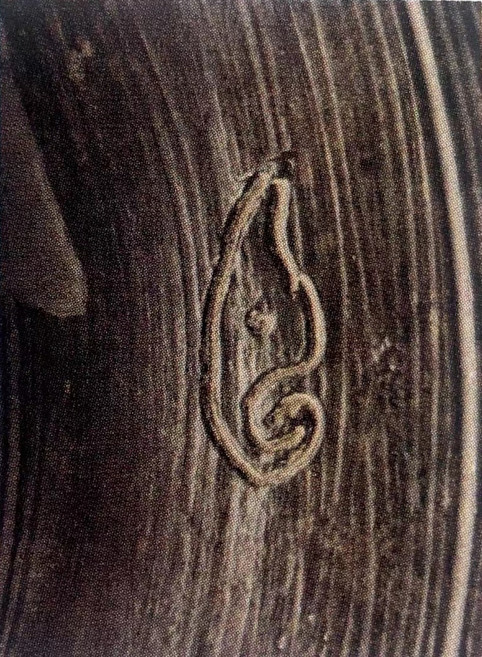 图17-2“臣”字灰陶尊局部