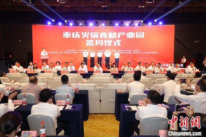 图为现场举行签约仪式。　李文静 摄