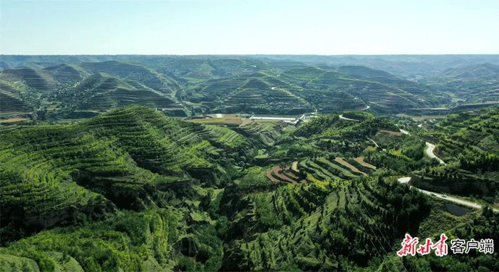 镇原县孟坝镇塬口村。新甘肃·甘肃日报通讯员 田永昭  