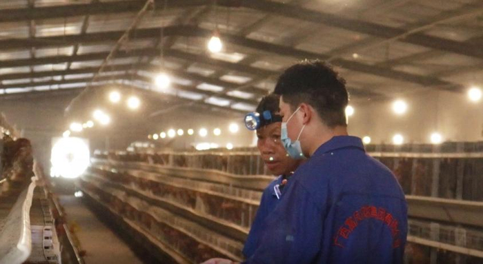 张浪在对养殖工人们进行技术讲解。黄嘉琦 黄家池 摄