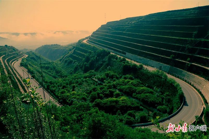 镇原县境内327国道两边绿意盎然景如画。新甘肃·甘肃日报通讯员 张宁宁 