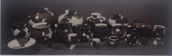 图6 禹州瓦店WD2H121器物坑出土的“九鼎”