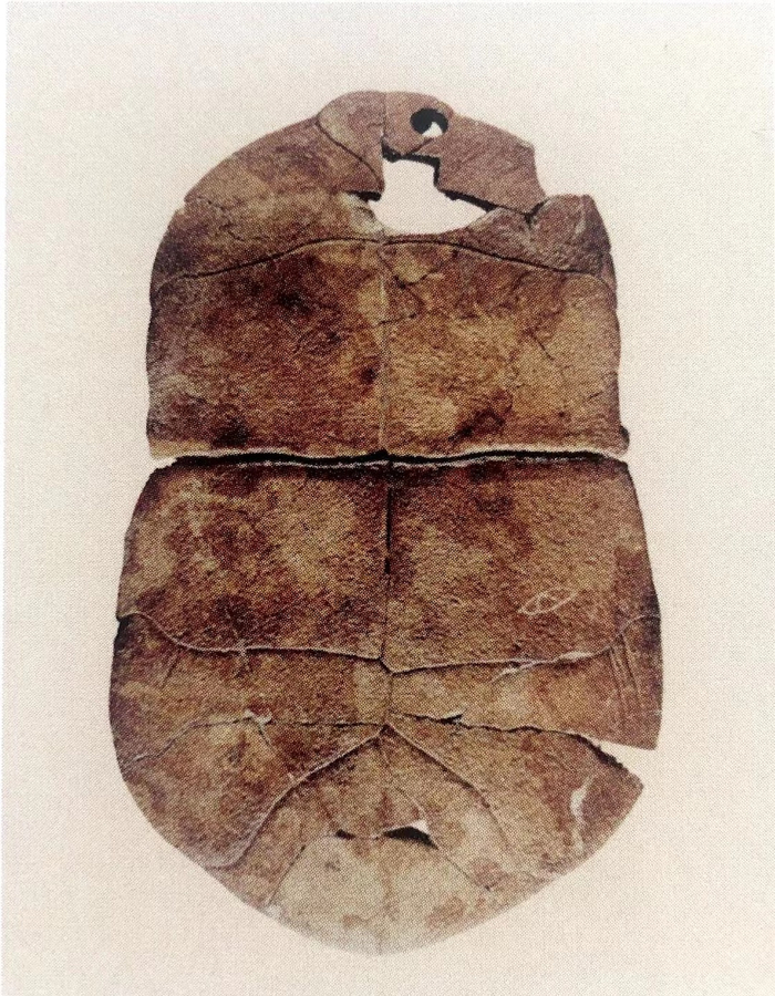 图13 舞阳贾湖遗址出土的“目”字刻符龟甲