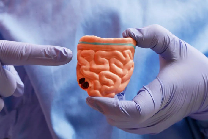 图库版权图片，不授权转载