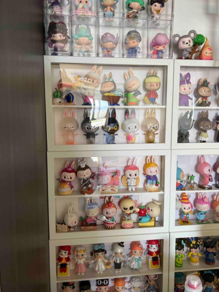 李子的部分泡泡玛特盲盒 受访者供图