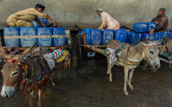 当地时间2022年5月27日，巴基斯坦贾科巴巴德，当地高温持续，民众打水搬运回家。