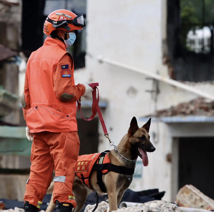 平日训练中的“疾风”。 受访者供图