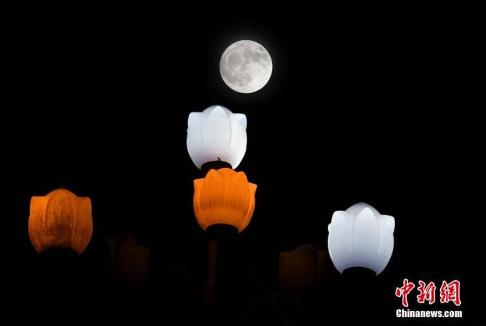 资料图：中秋之夜，福州圆月当空照。中新社记者 王东明 摄