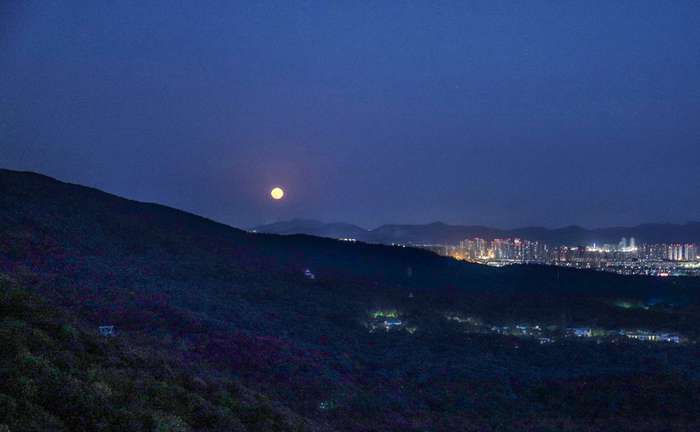 月映紫金山。图片来源：陈向阳 摄影