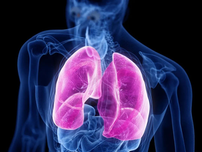 图库版权图片，不授权转载