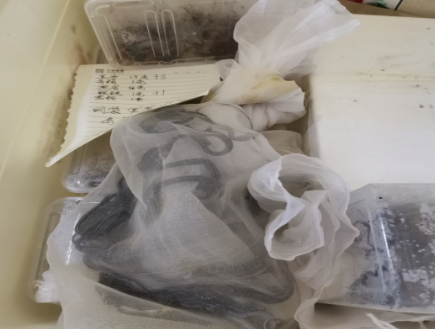 （图片来源：鹤城区人民政府官网） 