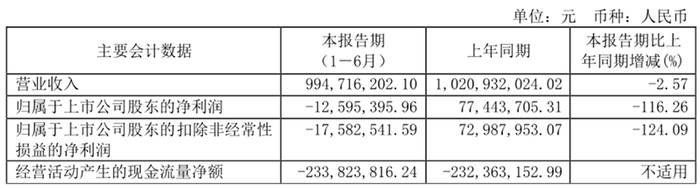 图为：王力安防2022年半年报部分财务数据