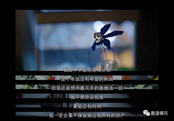因为没钱,这次她这么惨?|花英|小小姐们|女性|大姐|编剧_新浪娱乐_新浪新闻