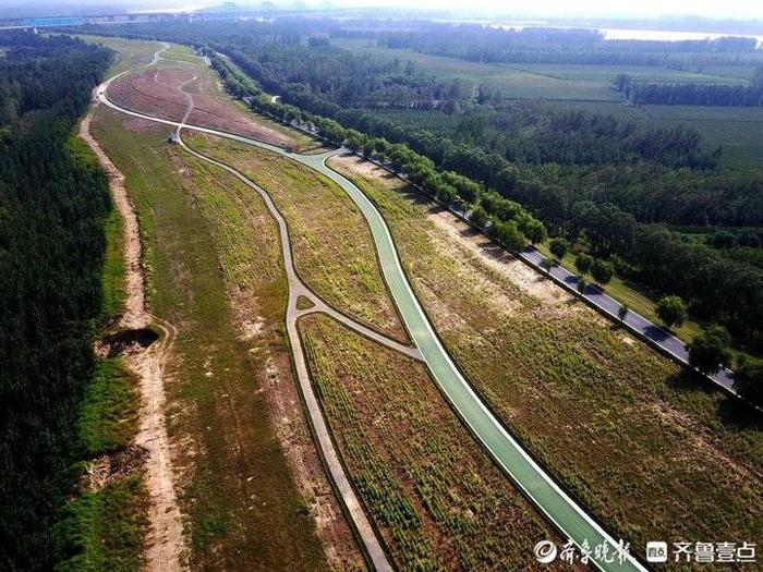 济南黄河生态草坪基地图片