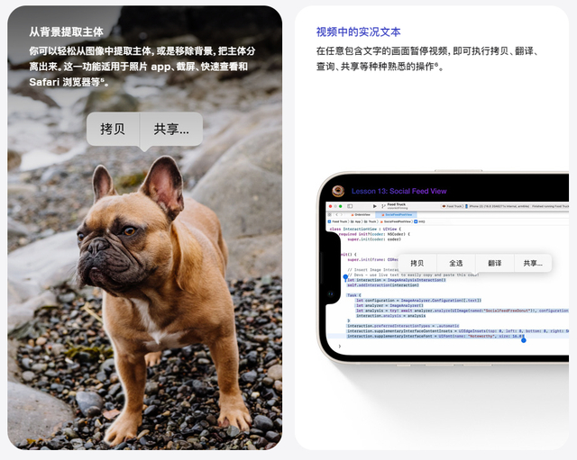 iOS16正式发布，第一批用户反馈来了，看完再决定升不升级__财经头条__新浪财经