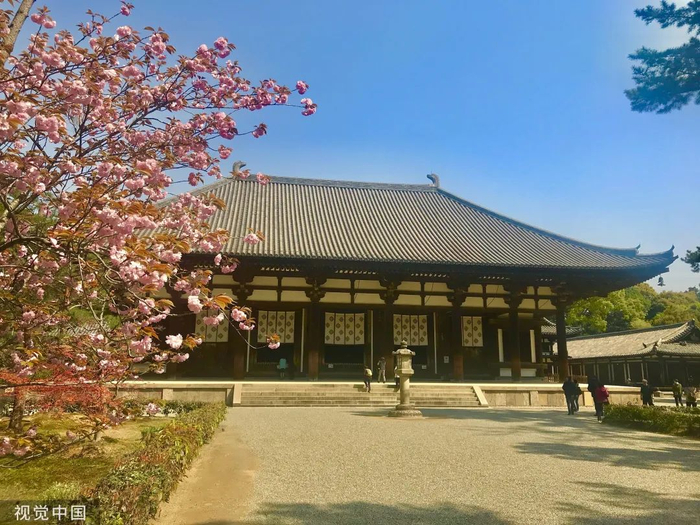 日本奈良市的唐招提寺 视觉中国 图