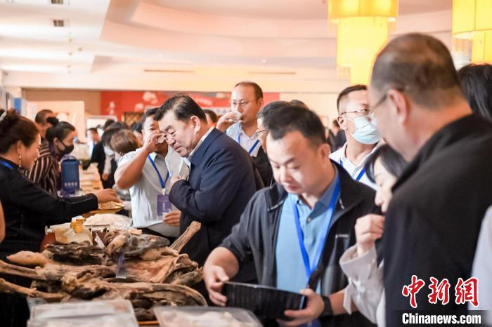 图为品鉴会现场。　鄂托克旗农牧局供图