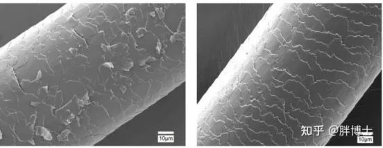 ▲紫外线下受损的毛鳞片（左）和正常的头发对比（右）