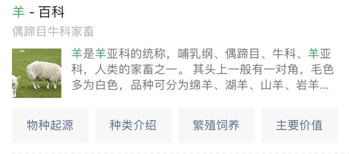 ▲图/微信搜一搜