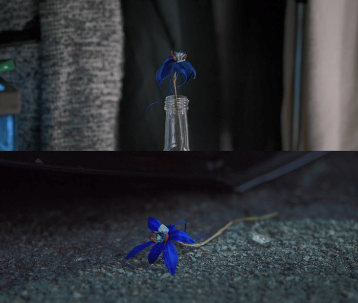 每每出现蓝色兰花，就有人死亡