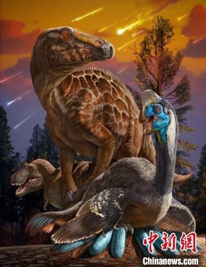 陕西山阳盆地的三类恐龙化石复原效果图。　赵闯  绘图 摄