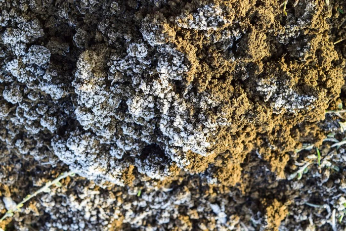 图库版权图片，不授权转载