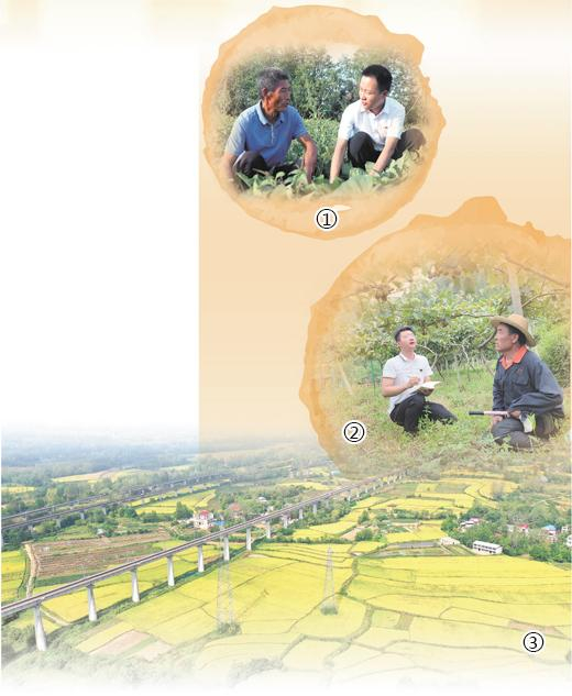 图①：安徽省阜阳市颍上县洪单村，选调生李勇（右）向村民了解红薯长势。