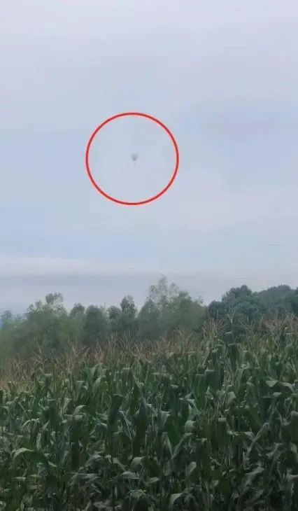 ▲2022年9月4日，胡永旭乘坐氢气球采摘松塔时，随氢气球飞走。图片来源：网传视频截图