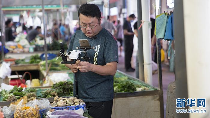 菌类新闻_菌类_孕妇能吃菌类食物吗